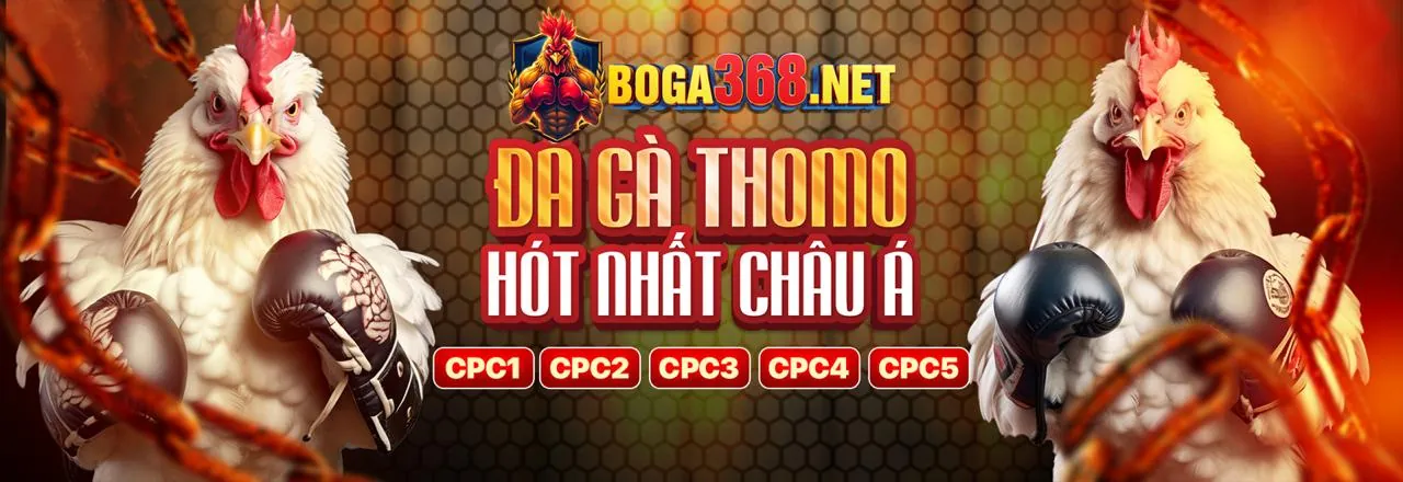 Đá Gà Trực Tuyến C1688